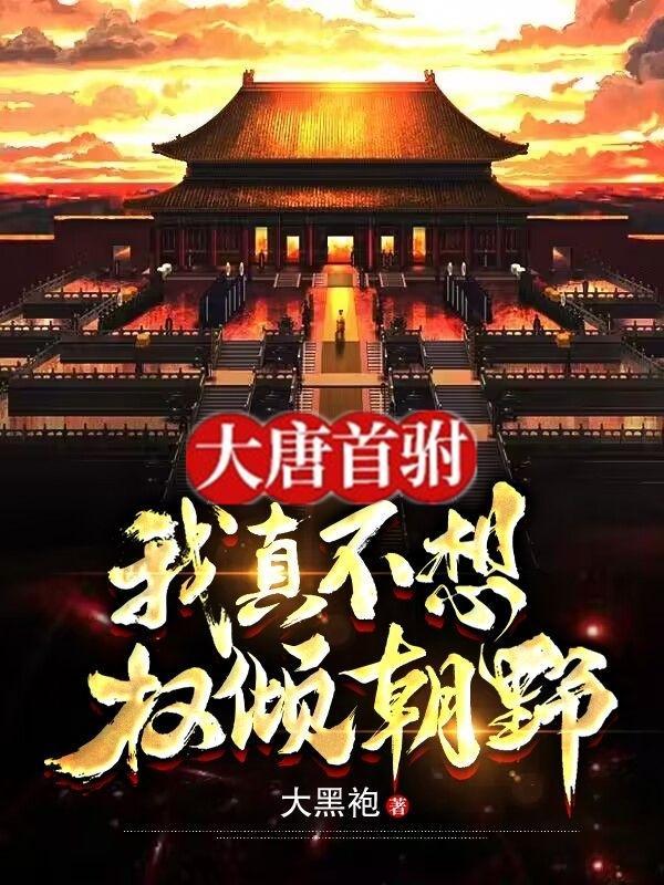 大唐首驸我真不想权倾朝野(大黑袍)秦勇