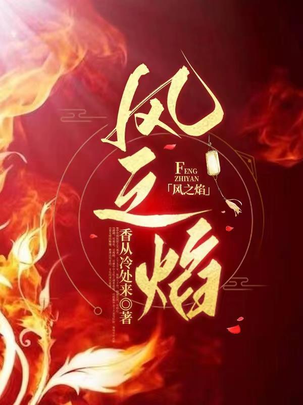 风之焰柴暖多少钱