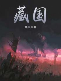 藏国栋