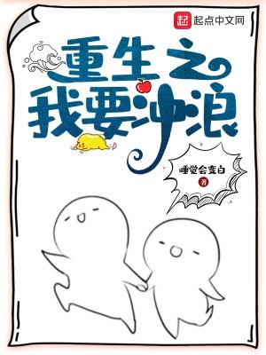 重生之我要冲浪几个女主
