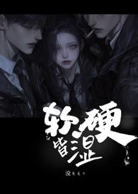 软硬皆可是什么意思