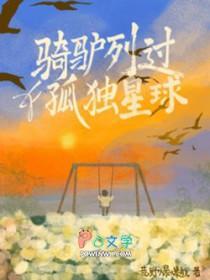 骑驴列过孤独星球讲的什么