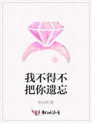 我不能把你忘记歌词