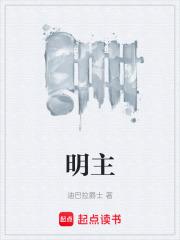 明主集中制是