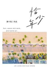 恰少年歌词完整版