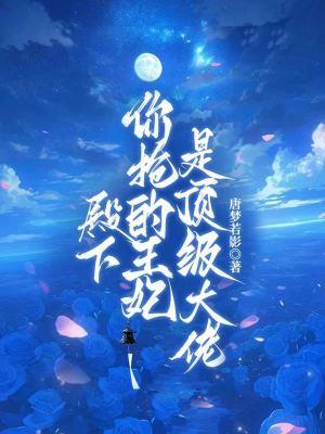 殿下你抢的王妃是顶级大佬