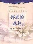 挪威的森林截取了一小片段