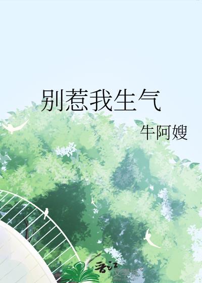 别惹我生气黄圣依
