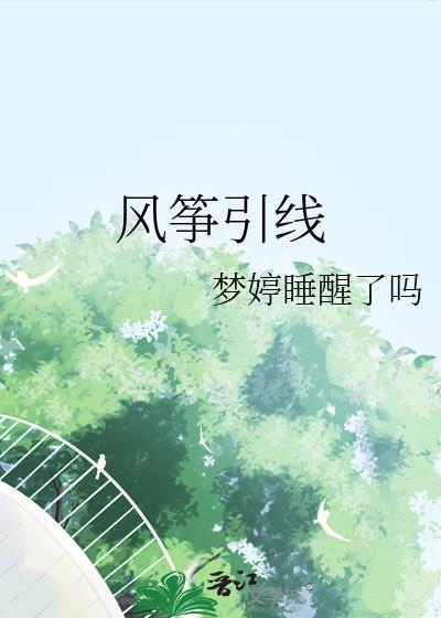 风筝引线晋江文学城