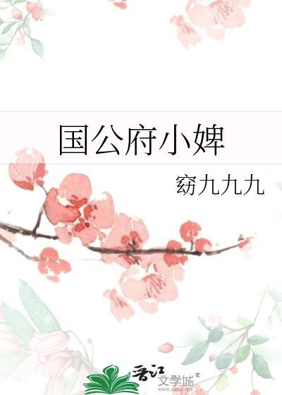 国公府小婢窈九九九