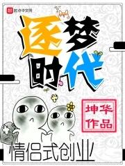 逐梦时代公司