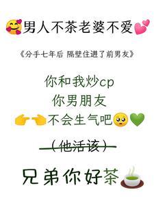 茶!追老婆就要茶!TXT文档