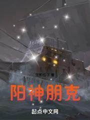 阳神朋克 起点中文网