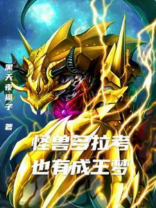 奥特曼老大到老八